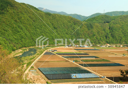 farmland and stream farmland and stream 38945847
