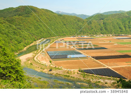 farmland and stream farmland and stream 38945848