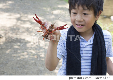 Primary schoolchild series crawfish fishing 38946152