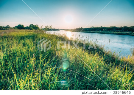 Summer landscape on the river bank at sunset 38946646
