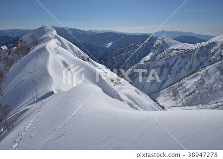 在Tenjindaira滑雪區附近的春天雪山Tanigawadake西黑色駱駝的玉米棒 38947278