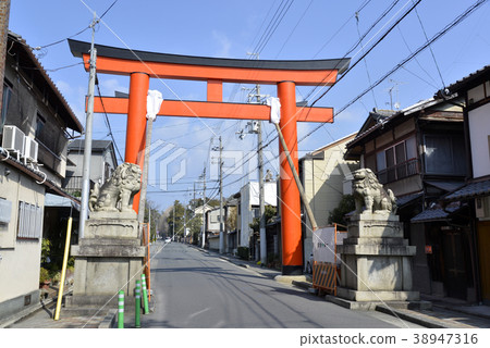 Imamiya Shrine Torii Imamiya Shrine Torii 38947316
