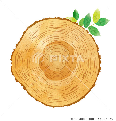Wood grain watercolor illustration 38947469
