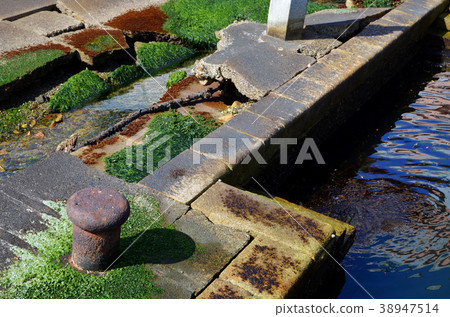 Scenery of Kobe Port Earthquake Memorial Park Scenery of Kobe Port Earthquake Memorial Park 38947514