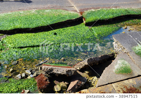 Scenery of Kobe Port Earthquake Memorial Park 38947515