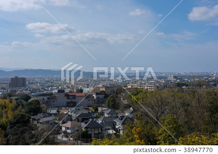 Wakayama Plain Wakayama Plain 38947770