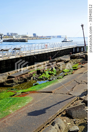 神戶港地震紀念公園的風景 38948012