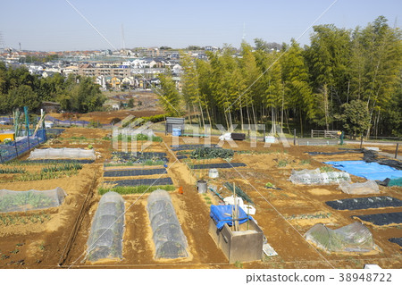 橫濱市青葉區市民農場 橫濱市青葉區市民農場 38948722