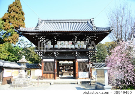 京都·Umehimiya Taisha 38949490