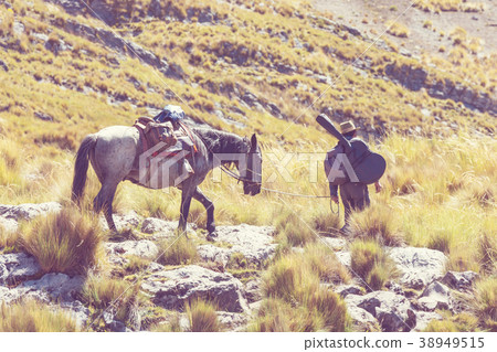 Caravan in Cordillera 38949515