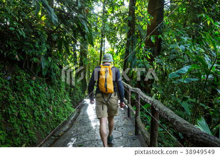 Hike in Costa Rica 38949549