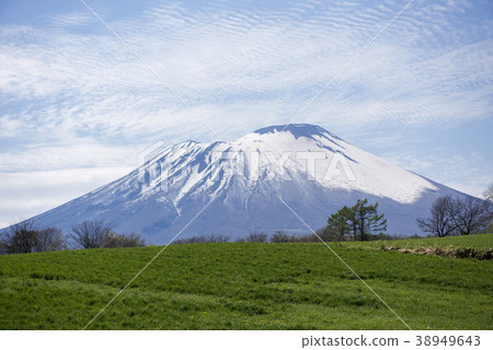 Iwateyama Iwateyama 38949643