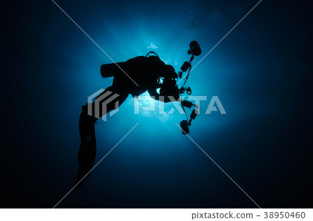 Silhouette diver 38950460