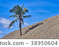 Live palm tree littered with building stones 38950604