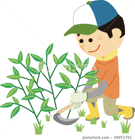 插圖材料割草志願者 38951781