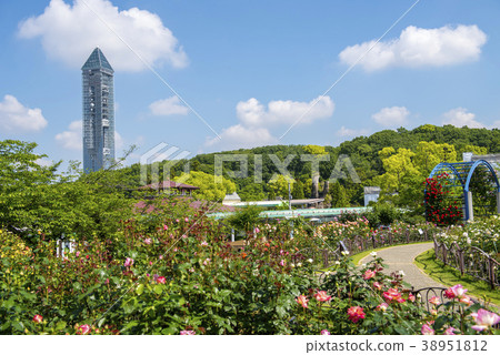 春山東山動物園和植物園 38951812