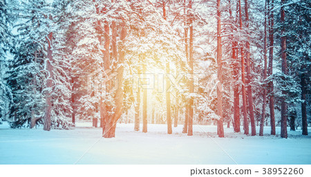 Fantastic Fairytale Magical Landscape View 38952260