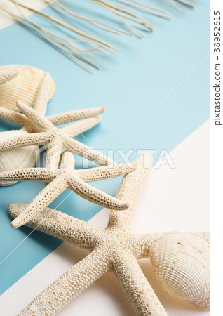  Blueangle 3 Piece Summer Beach Starfish and Seashell