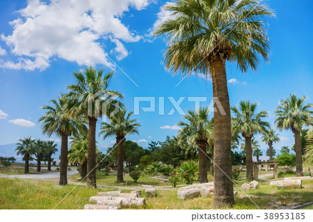 Heropolis near Pamukkale 38953185