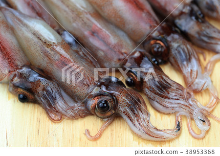 在切板的未加工的螢火蟲烏賊 38953368