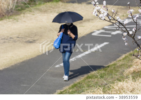 Walking enjoying spring 38953559