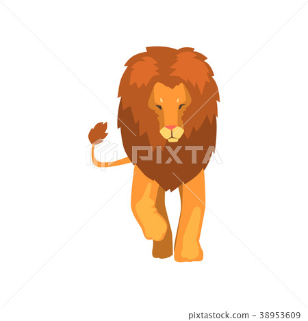 Powerful lion, wild predatory animal front, view Powerful lion, wild predatory animal front, view 38953609