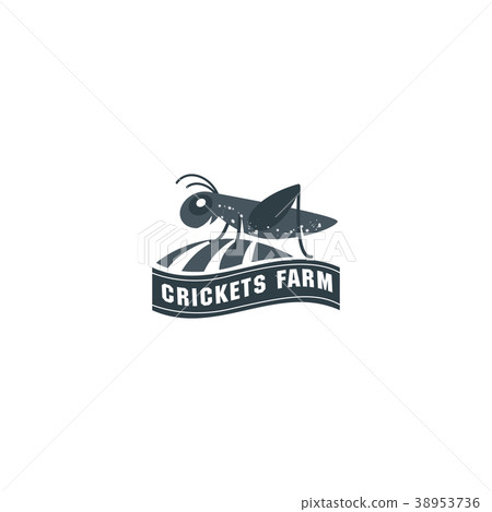 Grasshopper, cricket insect logo 38953736