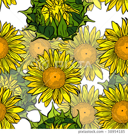 blooming yellow sunflowers and unblown  38954185
