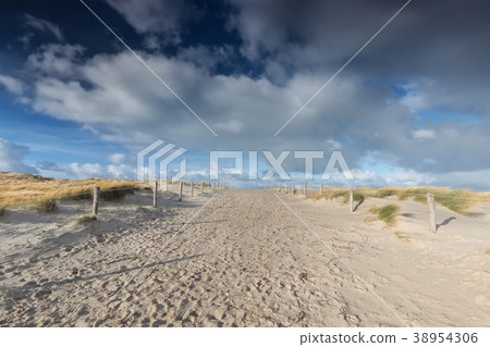 path on sand and beaufirul blue sky 38954306