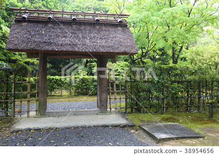 京都Katsuragi Gokomon 京都Katsuragi Gokomon 38954656