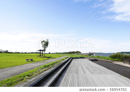 茨城 茨城 38954781