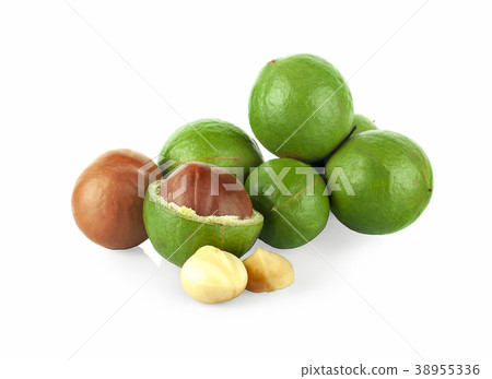 Macadamia nut on white background Macadamia nut on white background 38955336
