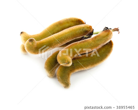 nettles brown pods with on white background nettles brown pods with on white background 38955465