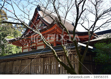 [土佐國一宮] 高知縣高知市土佐神社和早春的藍天 38956335
