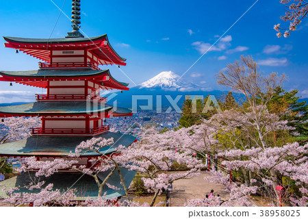 Fuji and cherry blossoms 38958025