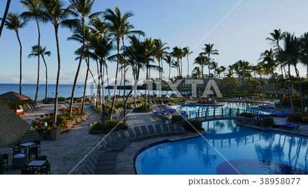 威可洛亞希爾頓泳池酒店 38958077