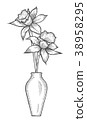 Daffodil illustration, drawing 38958295