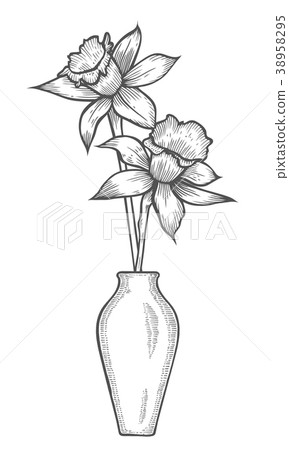 Daffodil illustration, drawing Daffodil illustration, drawing 38958295