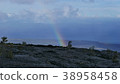 Rainbow on the island of Hawaii lava plateau 38958458