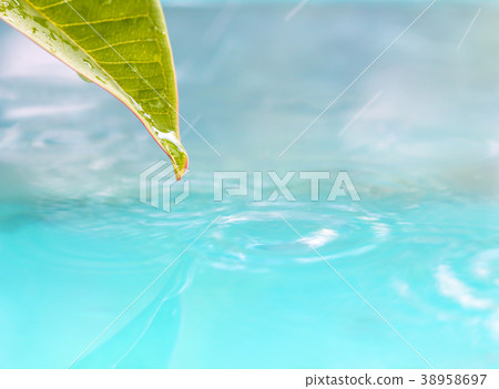 Drop of water from leaf. Drop of water from leaf. 38958697