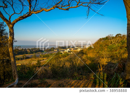 Evening scenery with mild sunshine Tender sunshine landscape 38958888