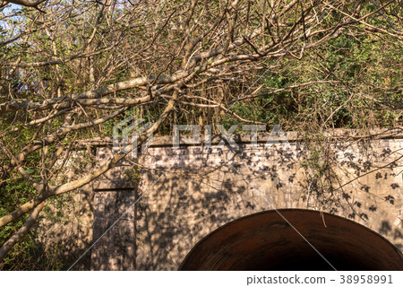 The cool season The bleak season Old tunnel Old tunnel Sakicho Takenan 38958991