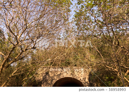 涼爽的季節陰暗的季節老隧道老隧道竹南幸町 涼爽的季節陰暗的季節老隧道老隧道竹南幸町 38958993