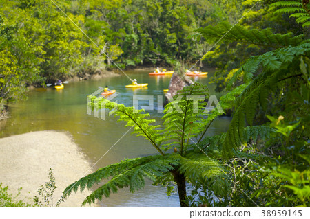 奄美大島紅樹林原始森林獨木舟和Hikagehego 38959145