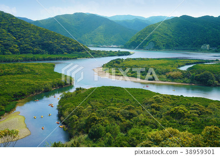 Amami Oshima Mangrove Forest 38959301