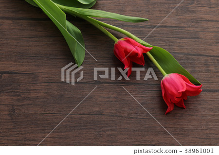 鬱金香放在板上 38961001