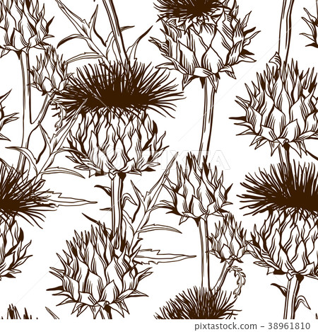 Seamless pattern with onopordum acanthium 38961810