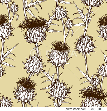 Seamless pattern with onopordum acanthium 38961813
