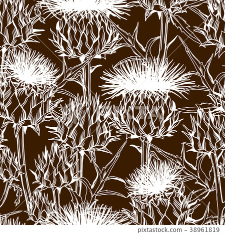 Seamless pattern with onopordum acanthium Seamless pattern with onopordum acanthium 38961819