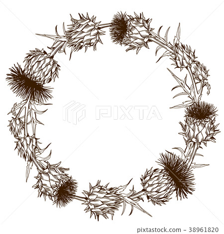 Decorative wreath with onopordum acanthium Decorative wreath with onopordum acanthium 38961820